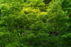 ws0305_01_gruenkraft