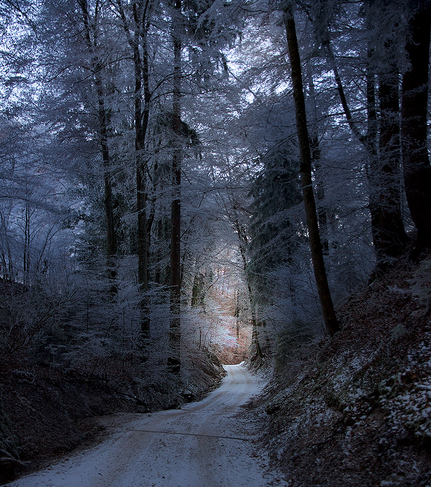 Towards the light