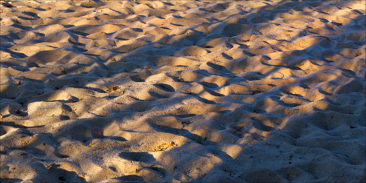 Waves of day and night